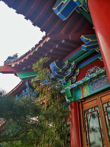 凤凰阁的意思凤凰阁的意思是什么