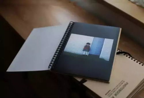 坷怎么读,坷的组词,坷的读音,坷的笔顺,坷的意思