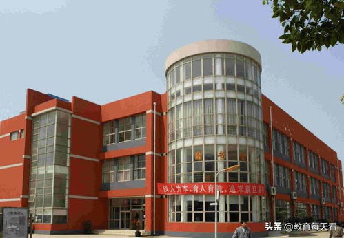 上海震旦职业学院录取线2023