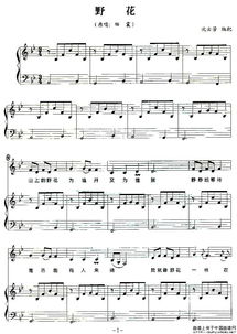野花吉他谱C调，野花吉他谱简单版