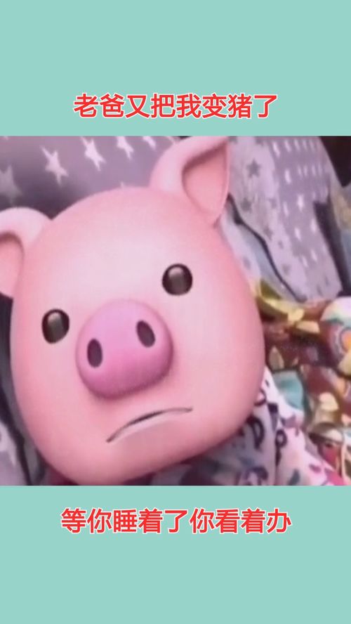 可爱的猪八戒，可爱的猪简笔画