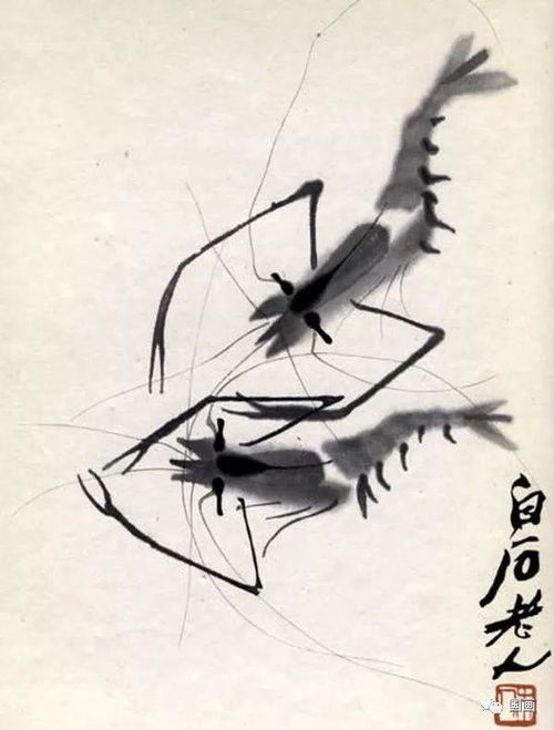 齐白石的作品虾的介绍