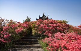 麻城一周天气预报七天查询，麻城一周天气预报查询