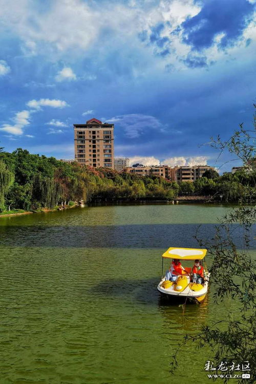 昆明看蓝花楹最好的地方九大赏花地点推荐