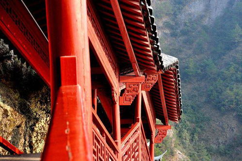 鼓怎么组词，束怎么组词