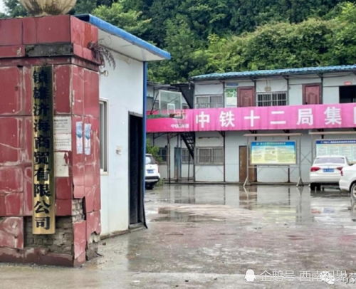 文的笔顺怎么写，明的笔顺