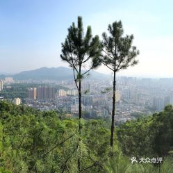 罗非鱼游罗江水,飞鹅飞落飞鹅岭,成对吗?