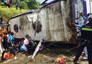 劳动改造烟教是什么