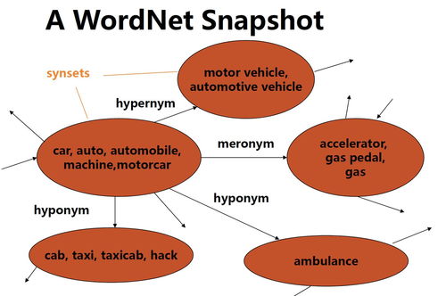 hyponymy名词解释，hyponymy发音