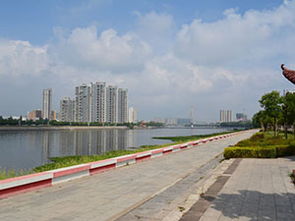 河南固始天气预报15天，固始天气预报