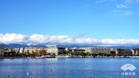 geneva是什么意思