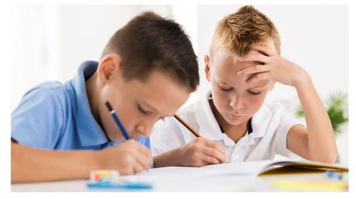 学会忘记的八年级作文