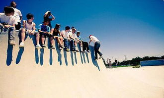 胞波情谊的意思，温暖的情谊的意思