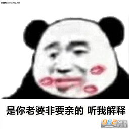 怕了你歌词全Hit5