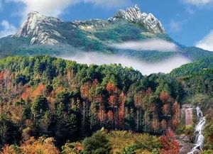 新丰云髻山云天海二日游攻略