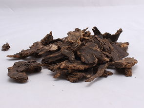 玄参有什么功效?