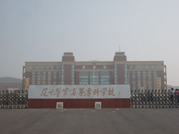 20年后的学校小学作文300字