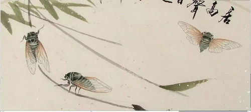 关于蚕的诗句，关于蝉的诗句大全