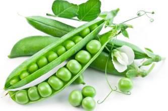 豌豆种子的种植方法全过程