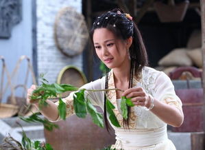 刘海砍樵演员表