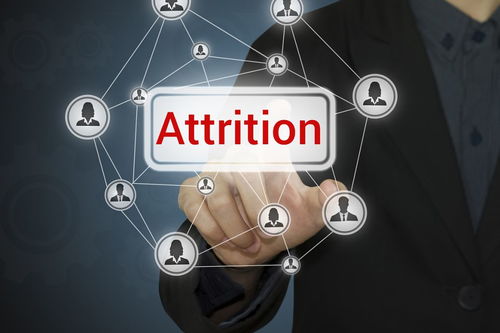 开辟造句两个意思两句，开辟造句子简单