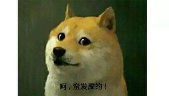 浙江方言翻译器在线，在线方言转换