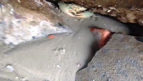 spitalfields怎么读，fields怎么读英语语音