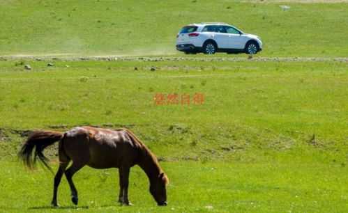 悠然自得的意思造句子，悠然自得的意思写一段话100字