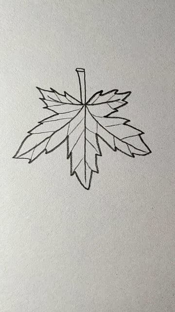 枫的笔顺名称，枫的笔顺怎么读