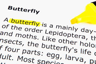 大老板的英文拼写?