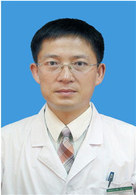 白初陆言何泽大结局谁是凶手