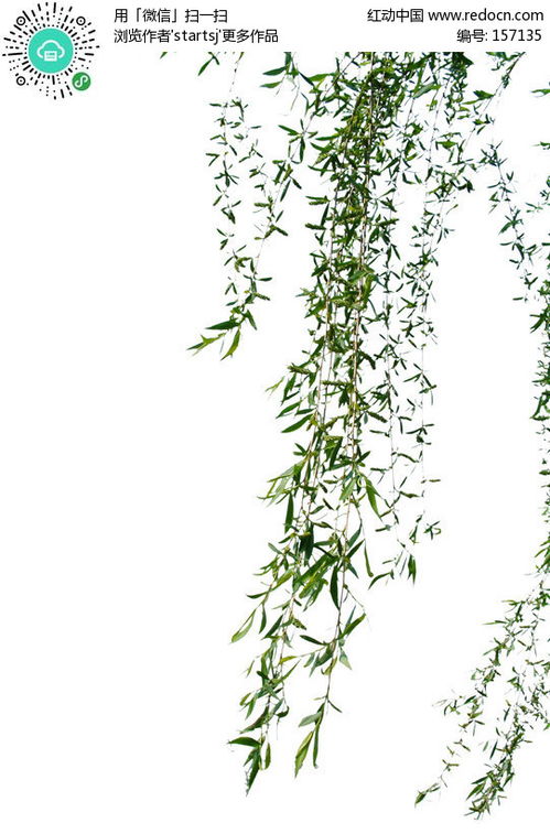 描写柳枝的比喻句