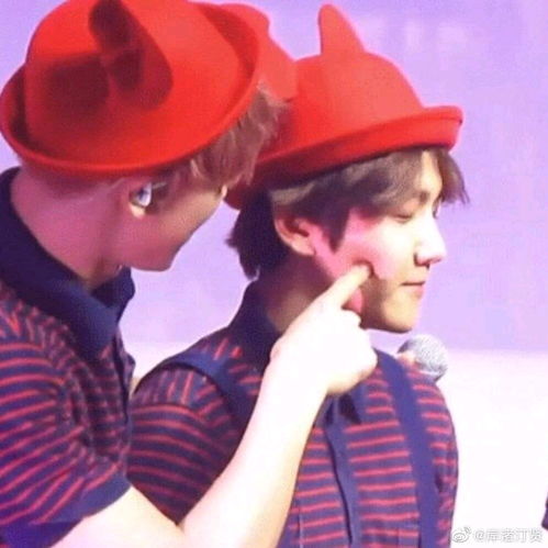 朝暮与年岁并往,然后一同与你行至天光 的出处?