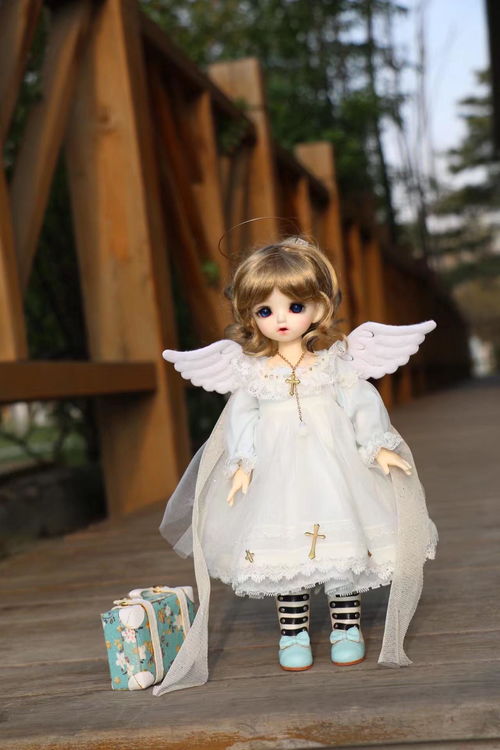 坷坎，坷怎么读什么意思