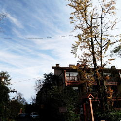 赣州博物馆的七里镇窑搬到哪里了