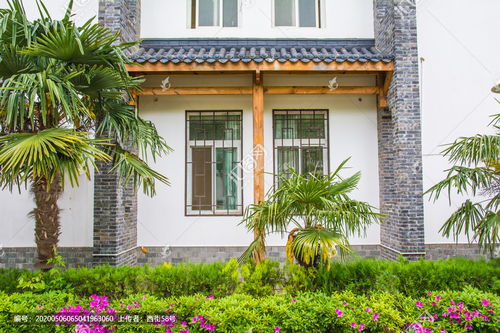 廊檐图片，廊檐下