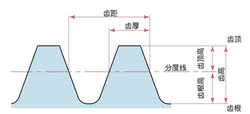 怎样算分度圆直径