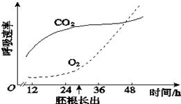种子萌发过程中自由水和结合水变化，种子萌发过程中发生哪些生理生化变化