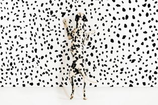 斑点能彻底去除吗，斑点图片大全高清图