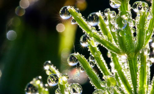 猜谜语青一块紫一块打一字，青一块紫一块是什么字