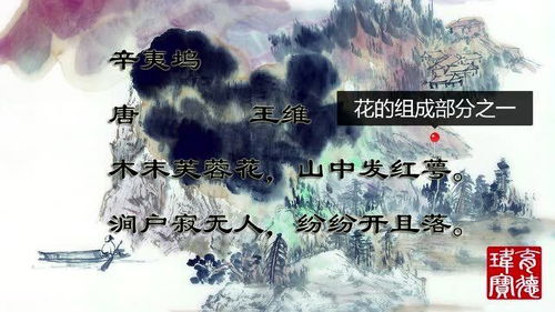 辛夷坞古诗带拼音朗诵视频，辛夷坞古诗加拼音