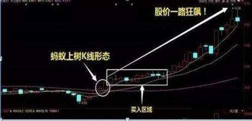 斩钉截铁的意思是什么?