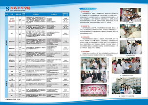 2020年专科学校招生，2021大专招生简章