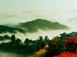 网络语言崆峒什么意思，崆峒了是什么意思