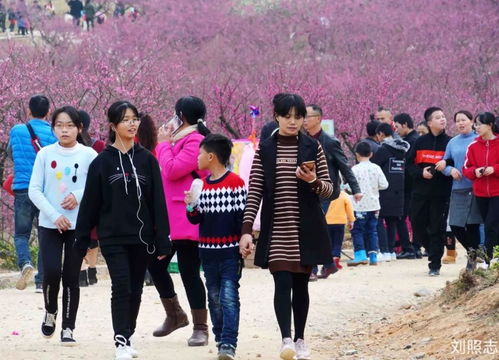 南安军拼音版，南安军原文