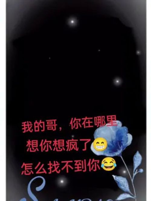 想你想疯了歌词，想你想疯了是什么歌