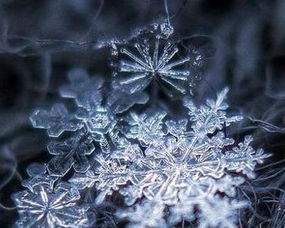 液化是吸热还是放热