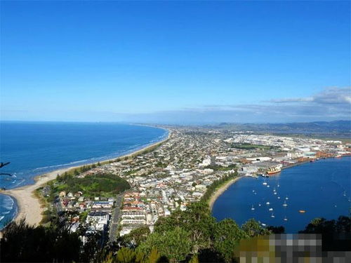 Tauranga, New Zealand，Tauranga什么航线