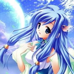 authorised signatory，authorised capital