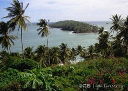 法属圭亚那人均gdp